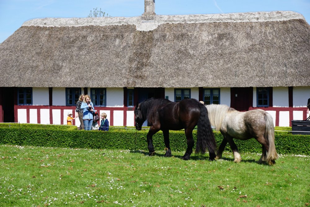Glud Museum